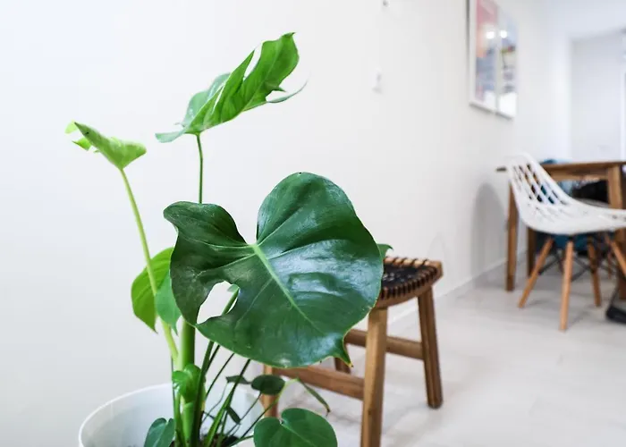 Casa Da Candida One Place, Many Things Appartement *