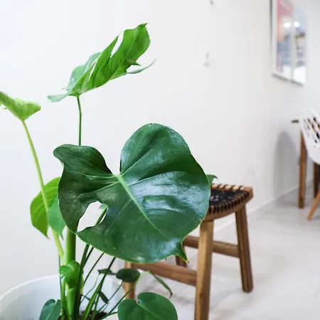 Casa Da Candida One Place, Many Things شقة *